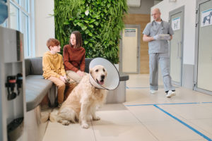 Sistemas de Seguridad para clínicas veterinarias. 